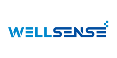 WELLSENSE