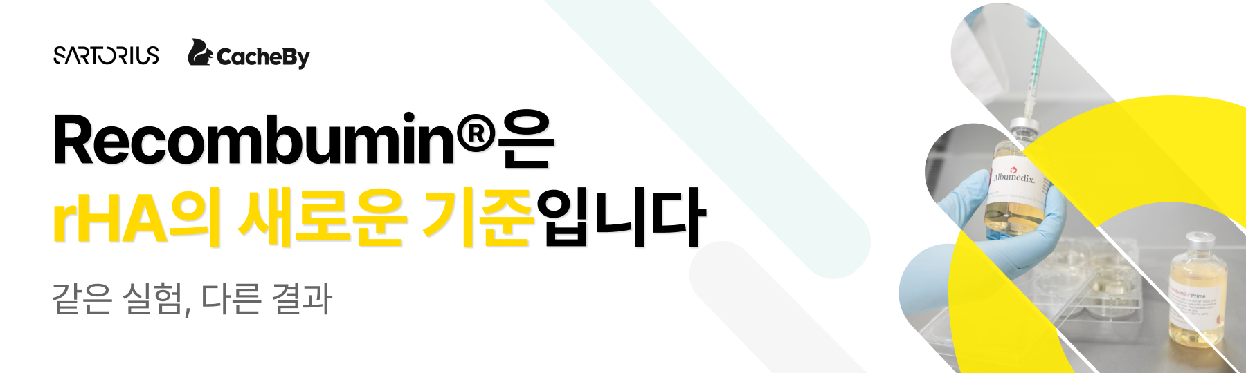 Frame 5 (1).png