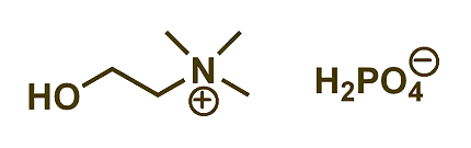 Choline dihydrogen phosphate 구조식