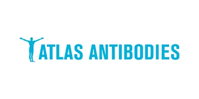 Atlas Antibodies