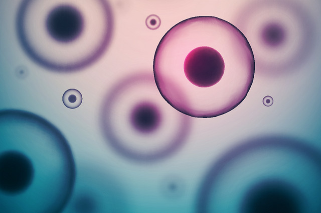 Webina - Analytical Ultracentrifugation for Characterization of AAV Gene Delivery Vectors