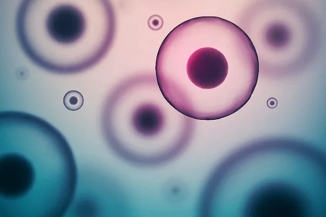 Webina - Analytical Ultracentrifugation for Characterization of AAV Gene Delivery Vectors