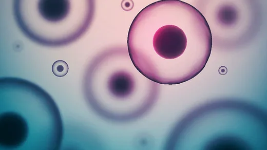 Webina - Analytical Ultracentrifugation for Characterization of AAV Gene Delivery Vectors