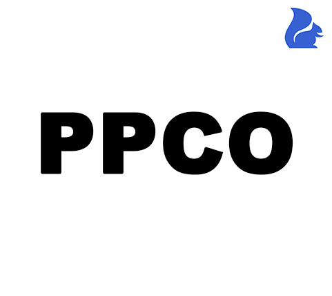 Polypropylene Copolymer (PPCO)