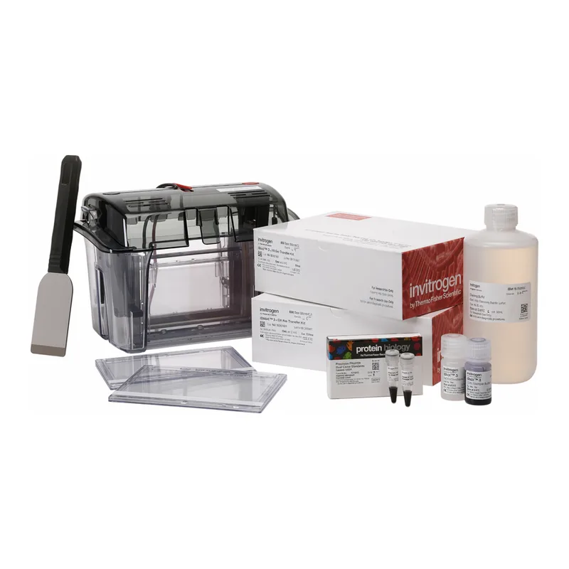 Thermo Fisher Scientific Novex WedgeWell Midi Tris-Glycine Plus Welcome Pack, 4 to 12%, 20-well, 1 Welcome Pk.