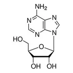 Merck ADENOSINE FREE BASE