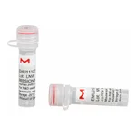 Merck MISSION(R) esiRNA