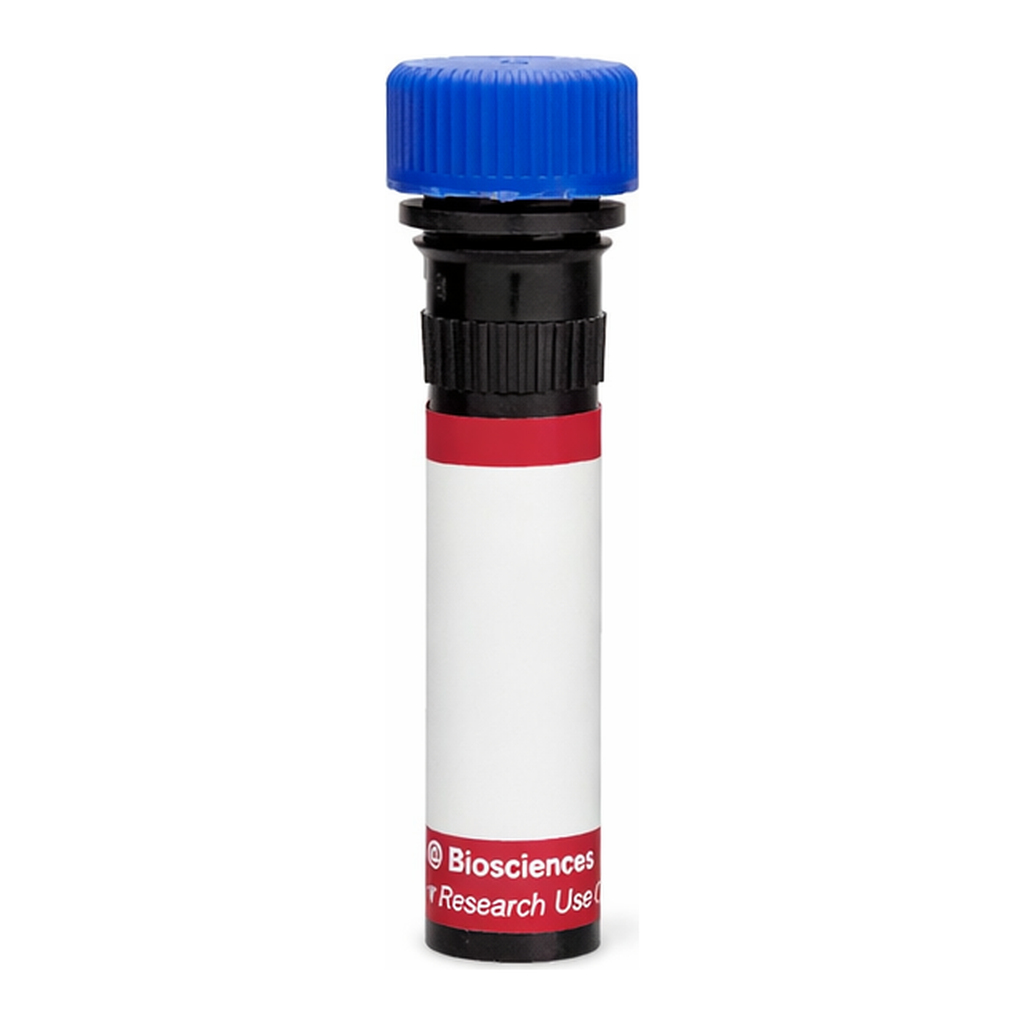 BD R718 Mouse Anti-Rat IgG1/IgG2a
