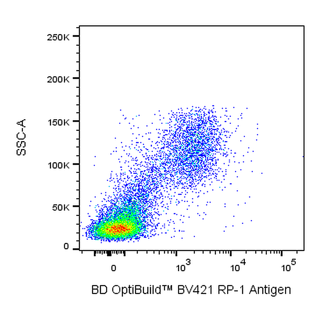 BD BV421 Mouse Anti-Rat RP-1 Antigen