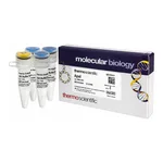 Thermo Fisher Scientific ApaI (10 U/μL), 3,000 units