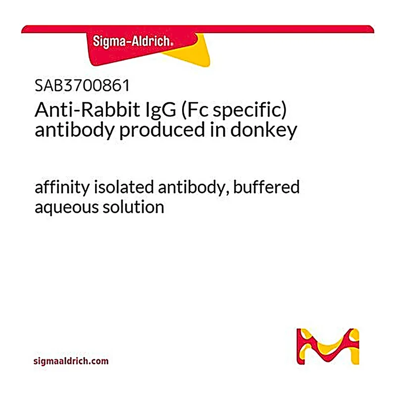 Merck Anti-Rabbit IgG (Fc specific) antibody produced in donkey