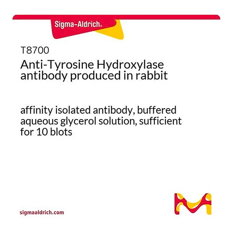Merck Anti-Tyrosine Hydroxylase antibody produced in rabbit