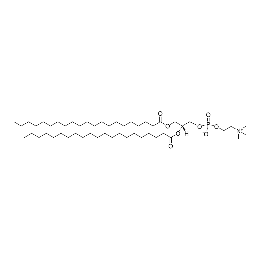 Merck 21:0 PC
