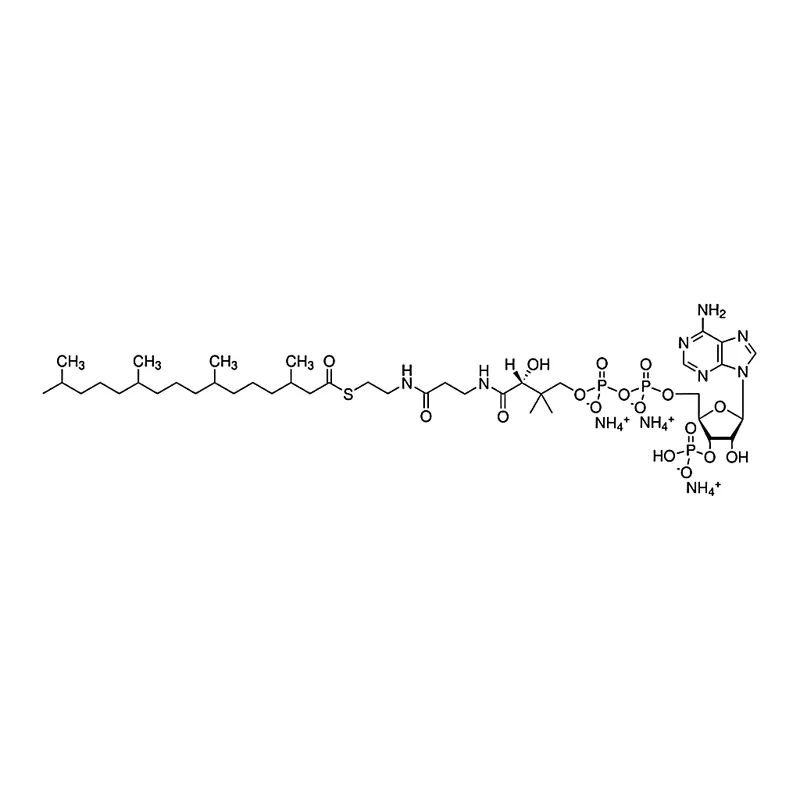 Merck 4ME 16:0 Coenzyme A