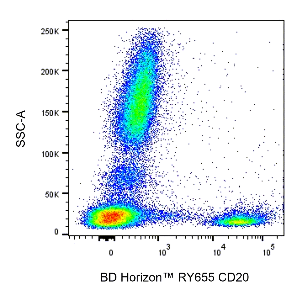 BD RY655 Mouse Anti-Human CD20