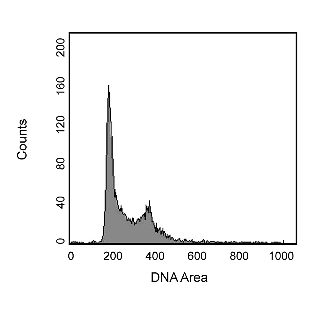 BD PI/RNase Staining Buffer