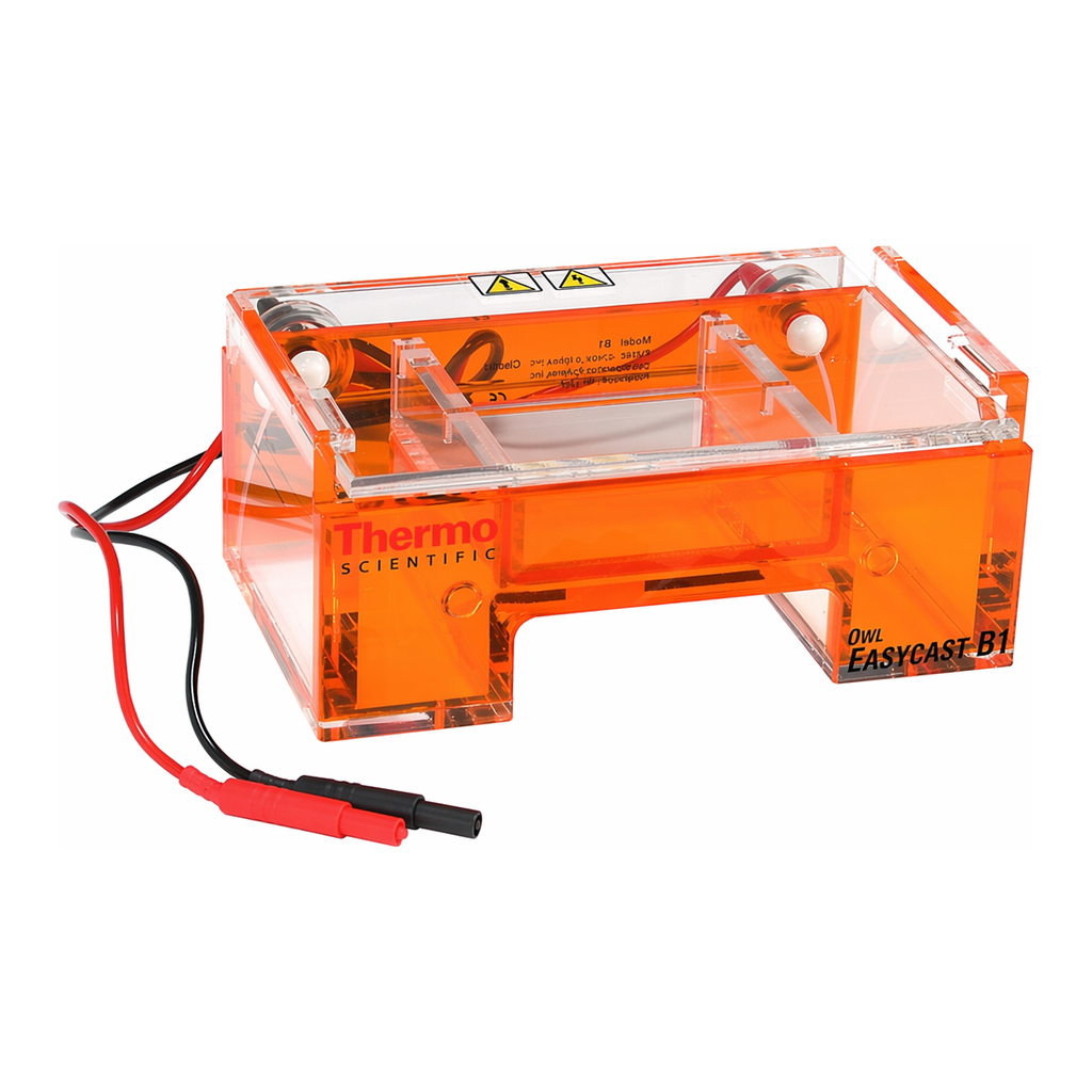 Thermo Fisher Scientific Owl EasyCast B1 Mini Gel Electrophoresis Systems with Buffer Exchange Ports