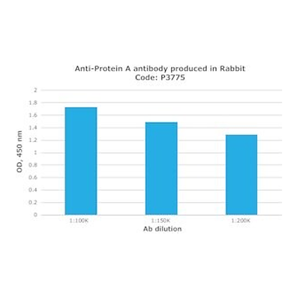 Merck RABBIT ANTI-PROTEIN A