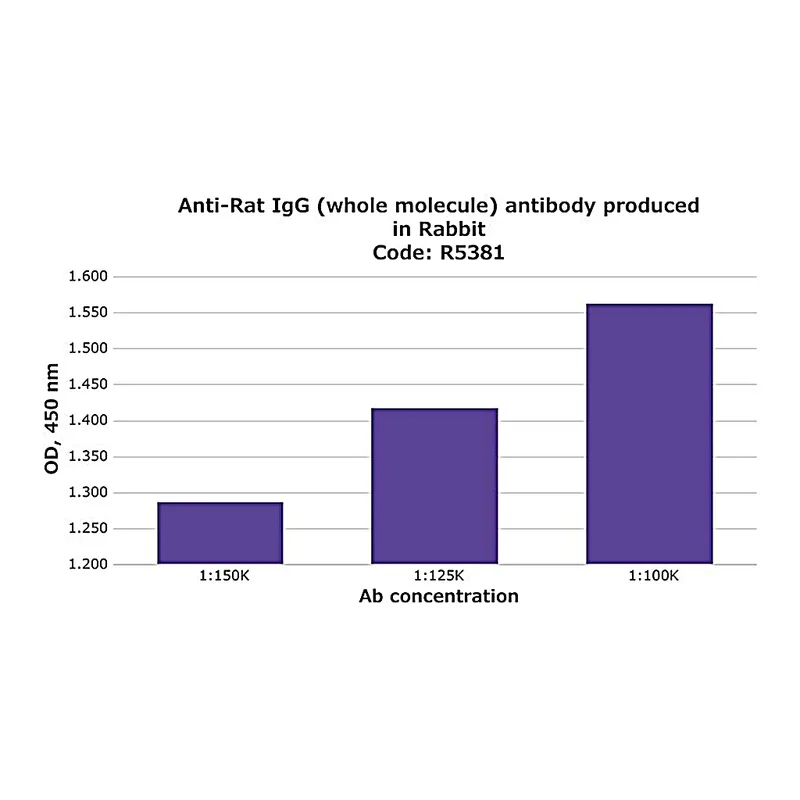 Merck Anti-Rat IgG (whole molecule) antibody produced in rabbit