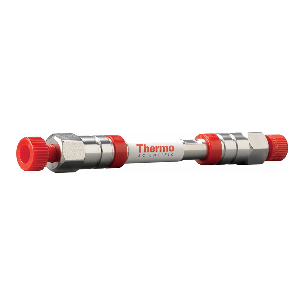Thermo Fisher Scientific Hypersil BDS C8 LC Column