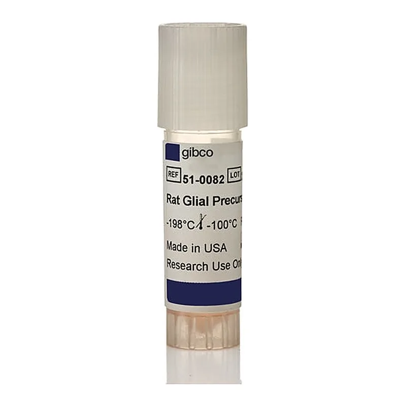 Thermo Fisher Scientific Rat Glial Precursor Cells