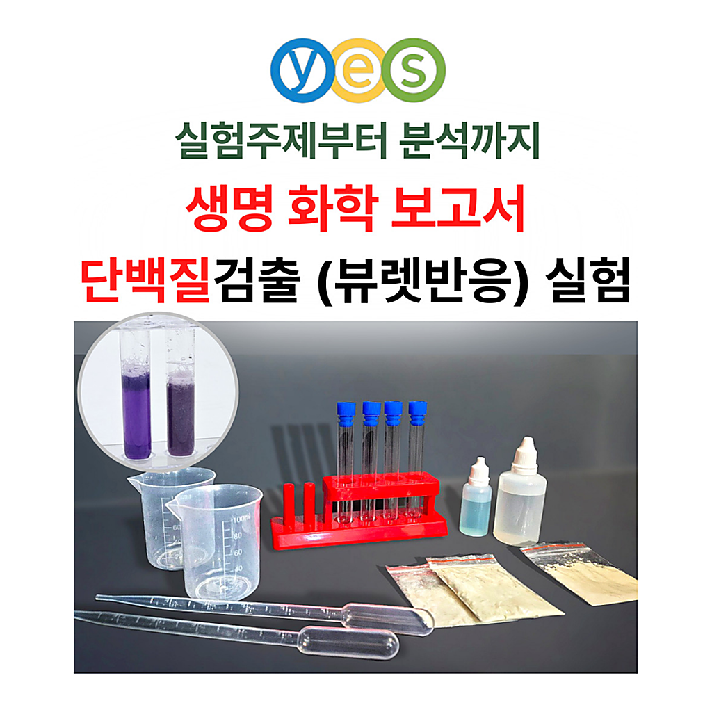 YES C3 단백질검출실험 (뷰렛반응실험)