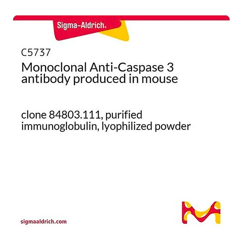 Merck Monoclonal Anti-Caspase 3 antibody produced in mouse