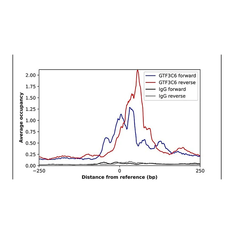 Merck Anti-GTF3C6 antibody produced in rabbit