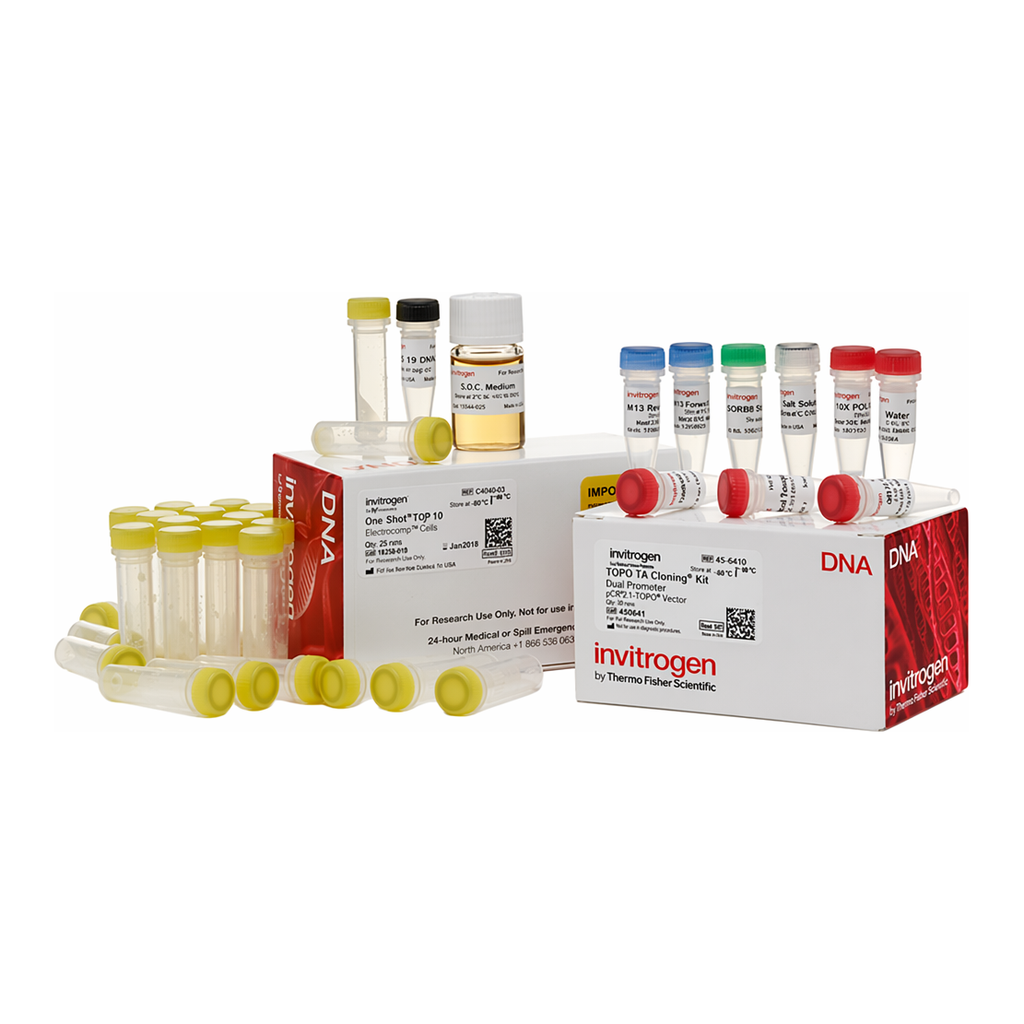 Thermo Fisher Scientific TOPO TA Cloning Kit, Dual Promoter, with pCRII-TOPO Vector and One Shot TOP10 Electrocomp E. coli, 25 Reactions