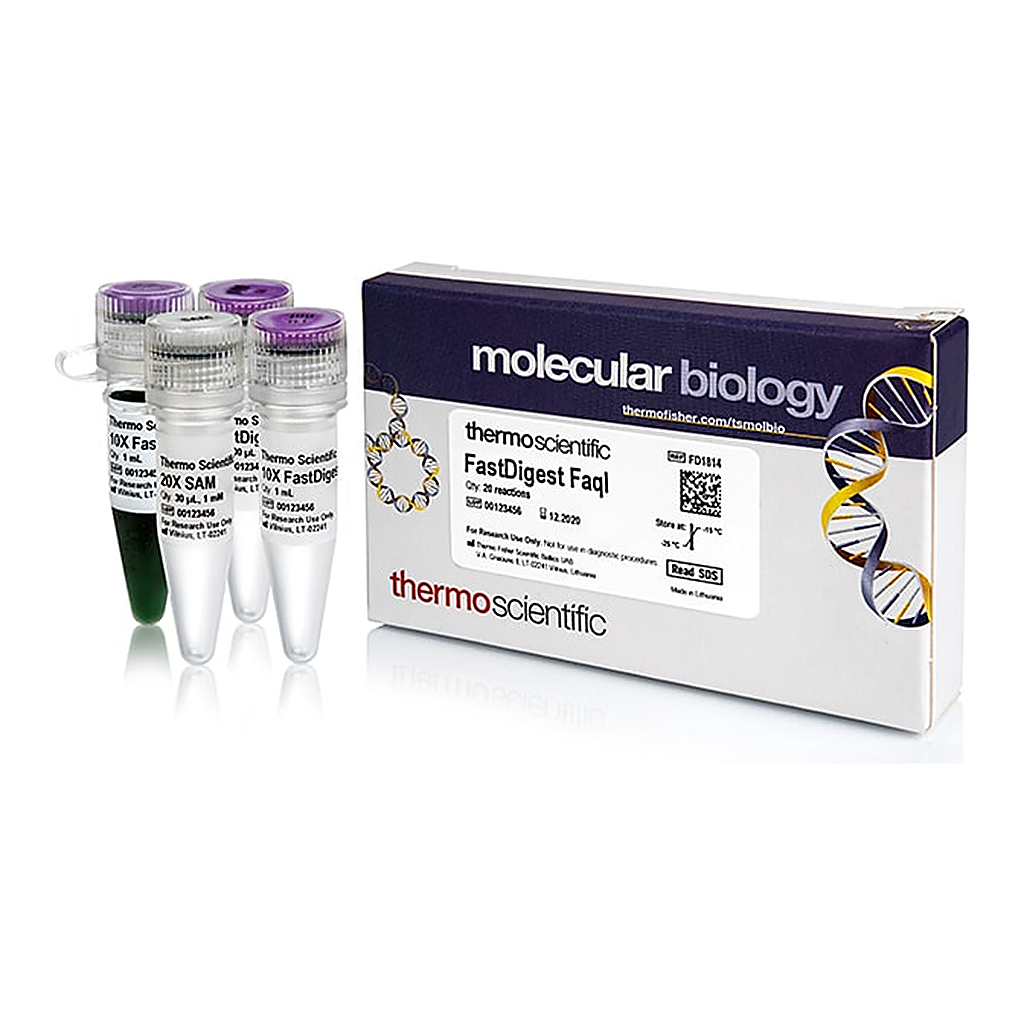Thermo Fisher Scientific FastDigest FaqI