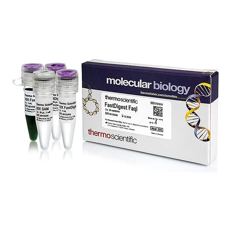 Thermo Fisher Scientific FastDigest FaqI