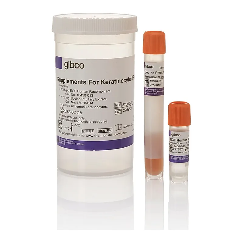 Thermo Fisher Scientific Keratinocyte-SFM Supplement: Human Recombinant Epidermal Growth Factor (EGF 1-53) & Bovine Pituitary Extract (BPE)