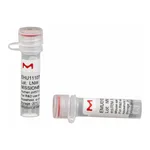 Merck MISSION(R) esiRNA