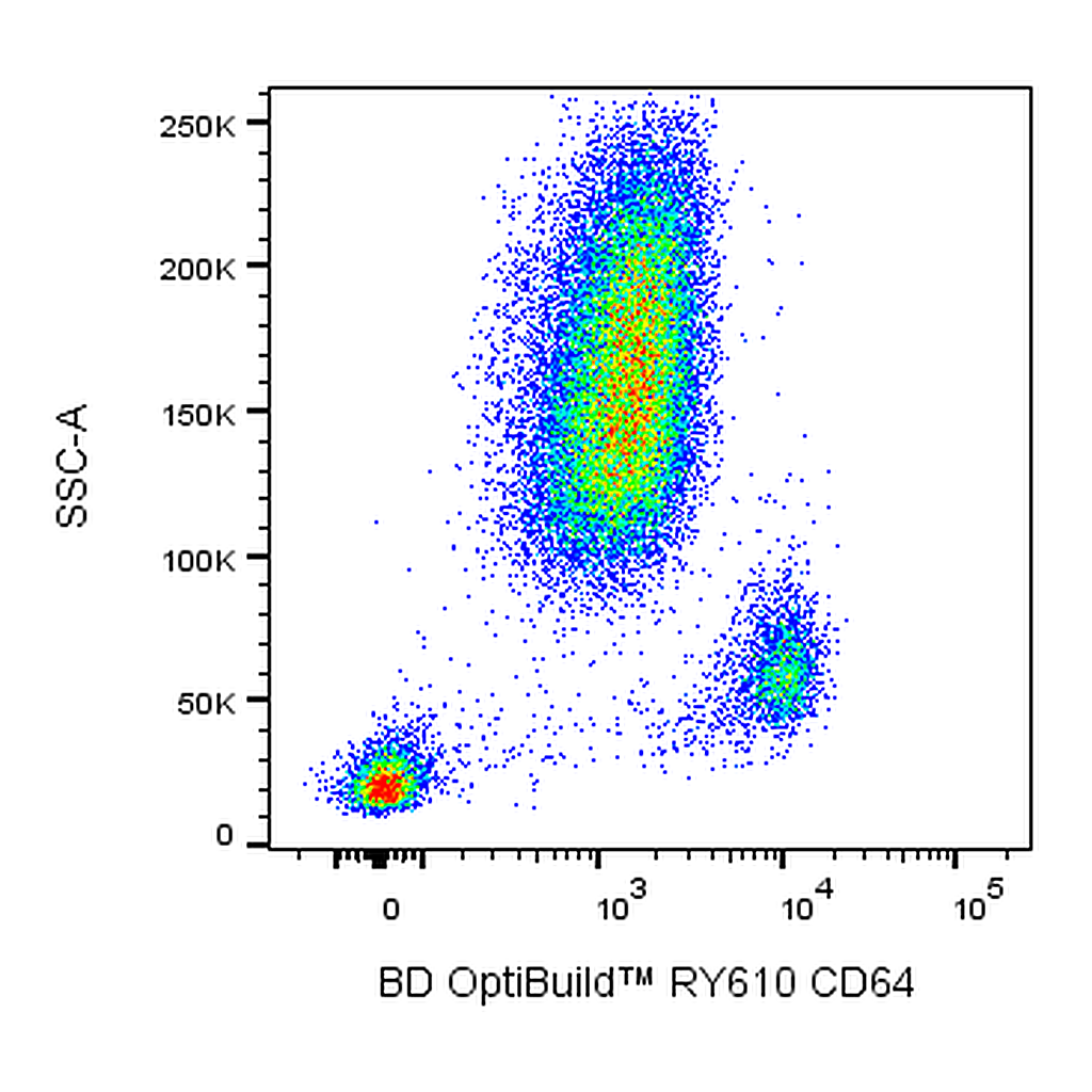BD RY610 Mouse Anti-Human CD64