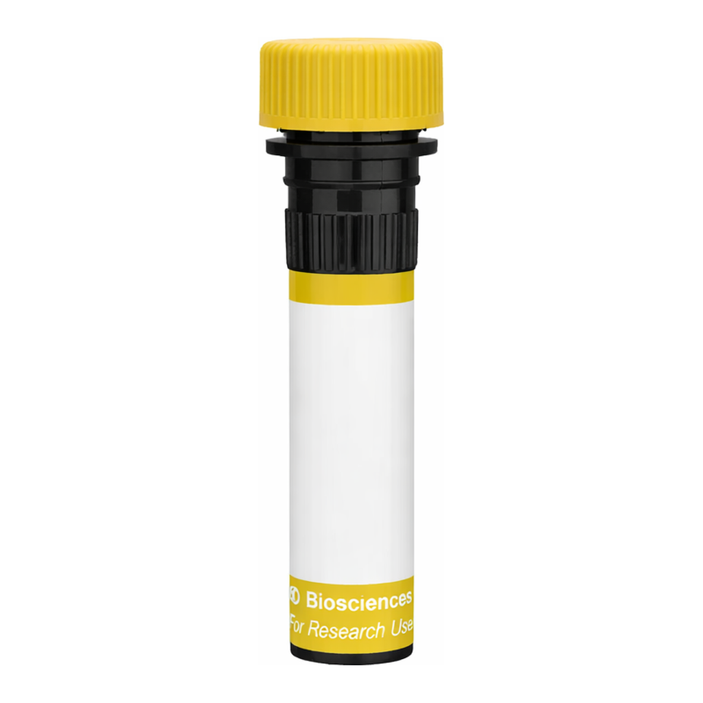 BD RY586 Biosimilar Anti-Human EGFR