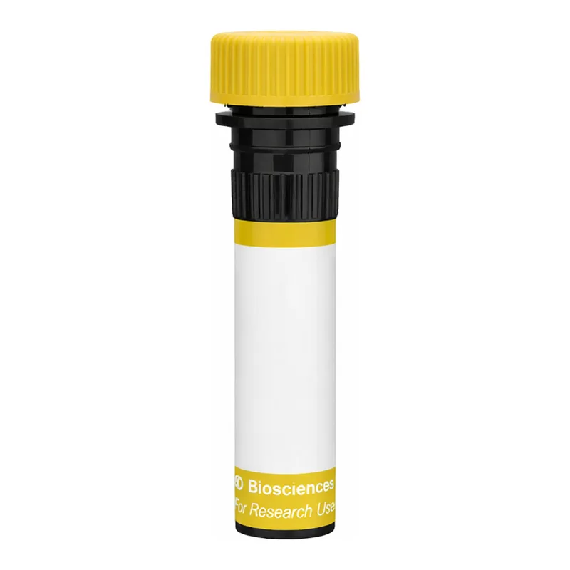 BD RY586 Biosimilar Anti-Human EGFR