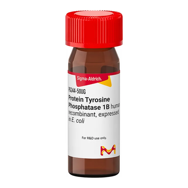 Merck Protein Tyrosine Phosphatase 1B human