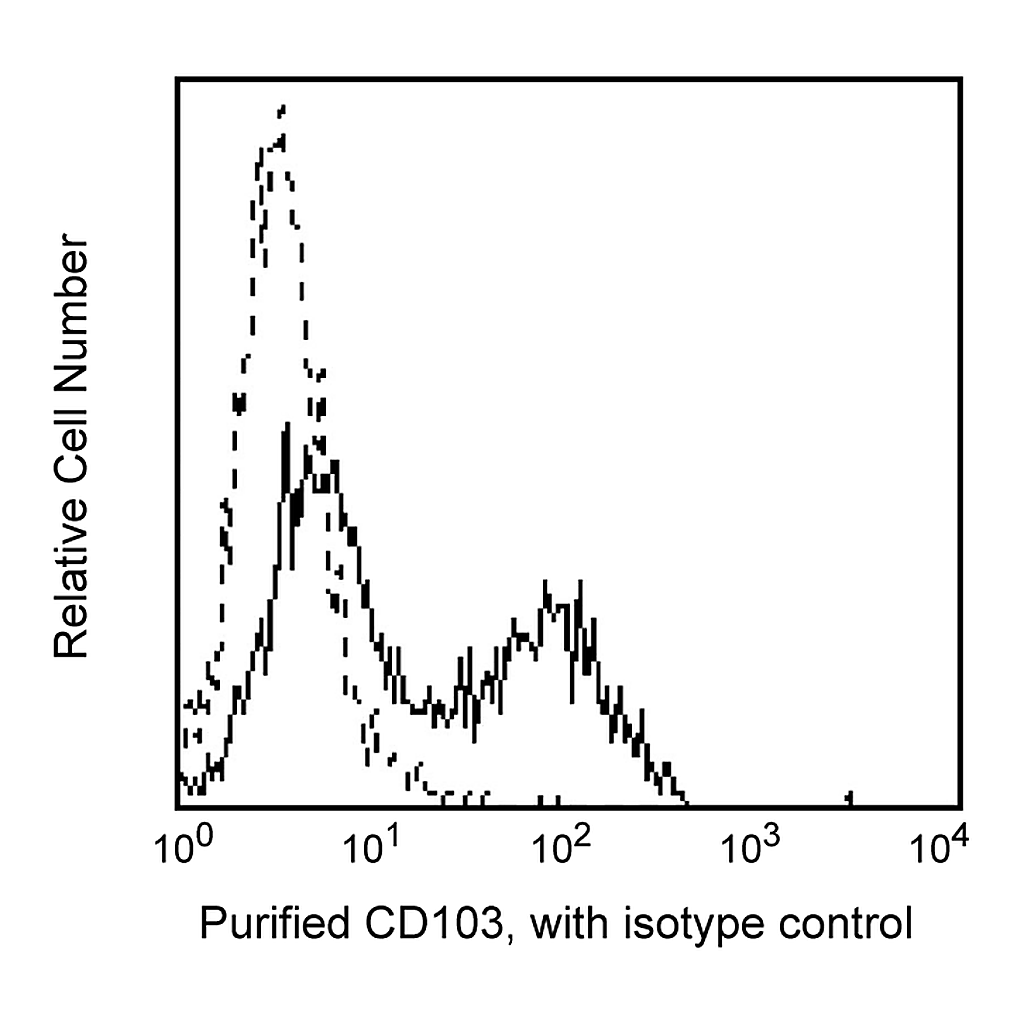BD Purified Mouse Anti-Human CD103