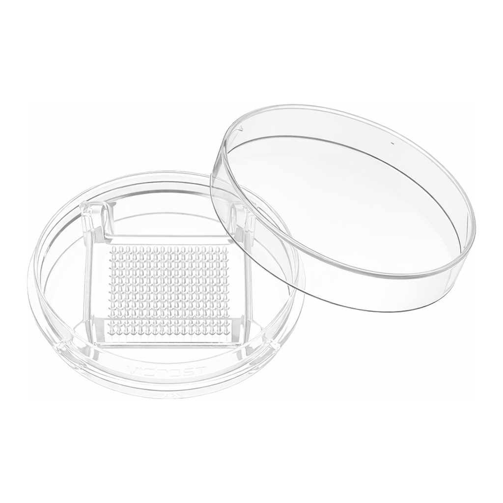 StemFIT 3D-Plastic