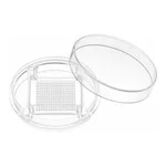 StemFIT 3D-Plastic