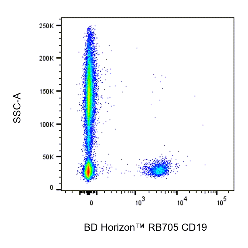 BD RB705 Mouse Anti-Human CD19