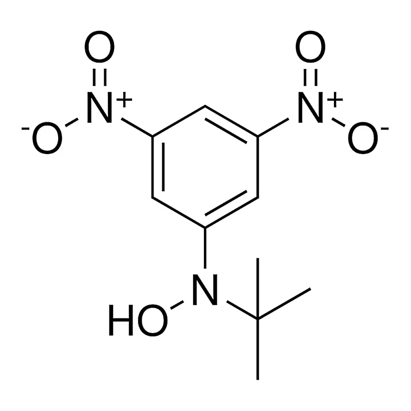 Merck N-TERT-BUTYL-N-(3,5-DINITRO-PHEN-