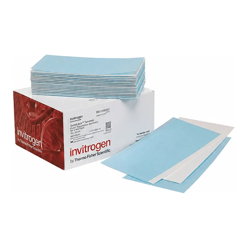 Thermo Fisher Scientific SureLock Tandem Midi Pre-cut Membranes and Filters, 0.2 μm, nitrocellulose