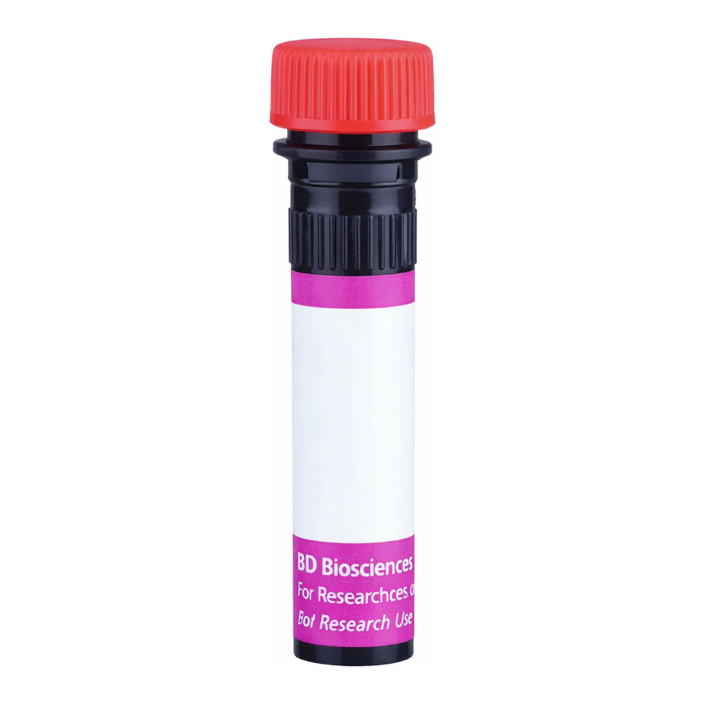 BD BV711 Mouse Anti-Human Invariant NK T Cell