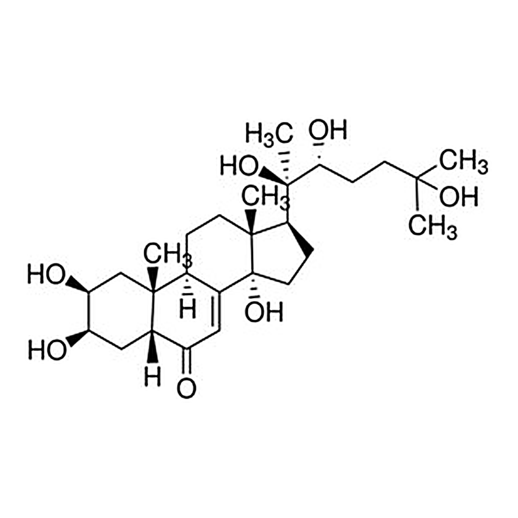 Merck 20-HYDROXYECDYSONE