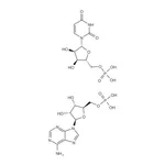 Merck POLYADENYLIC-POLYURIDYLIC ACID SODIUM