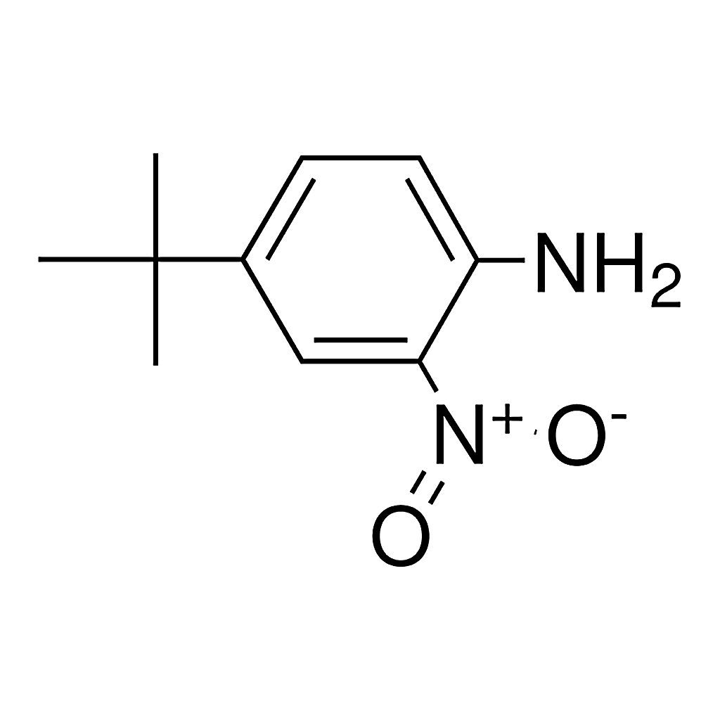 Merck 4-TERT-BUTYL-2-NITRO-PHENYLAMINE-