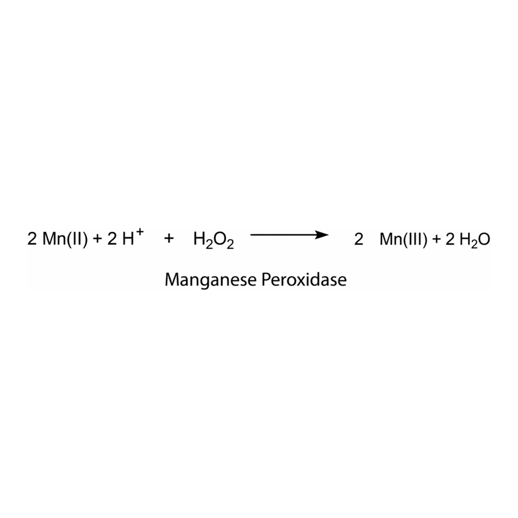 Merck MANGANESE PEROXIDASE FROM WHITE-ROT FUN&