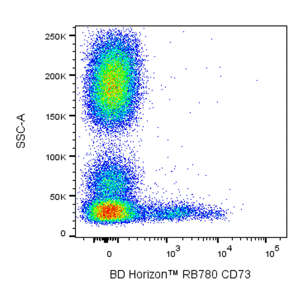 BD RB780 Mouse Anti-Human CD73
