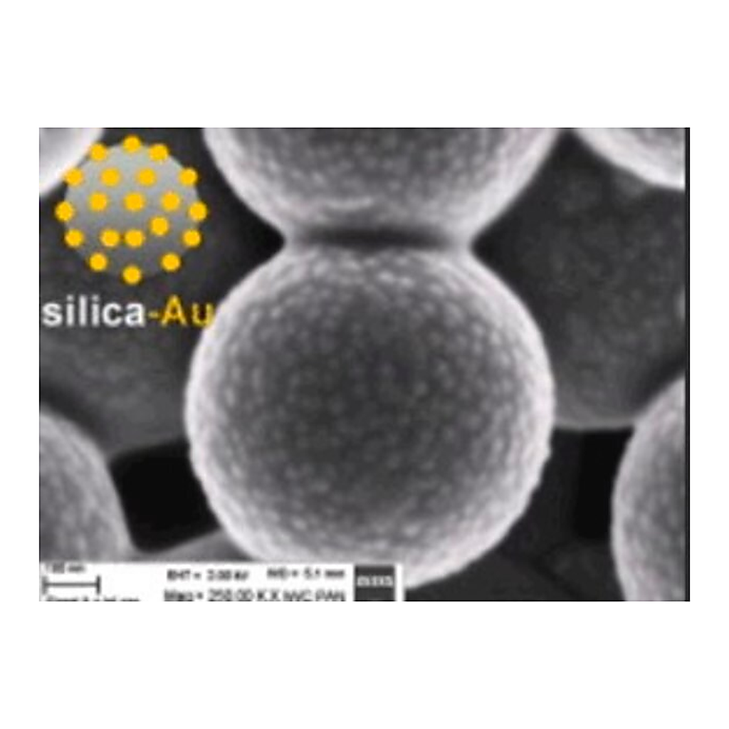Merck Gold coated silica nanoparticles